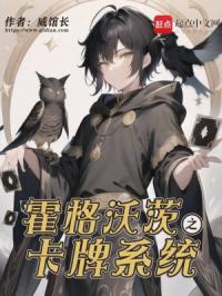 霍格沃茨之卡牌系统封面